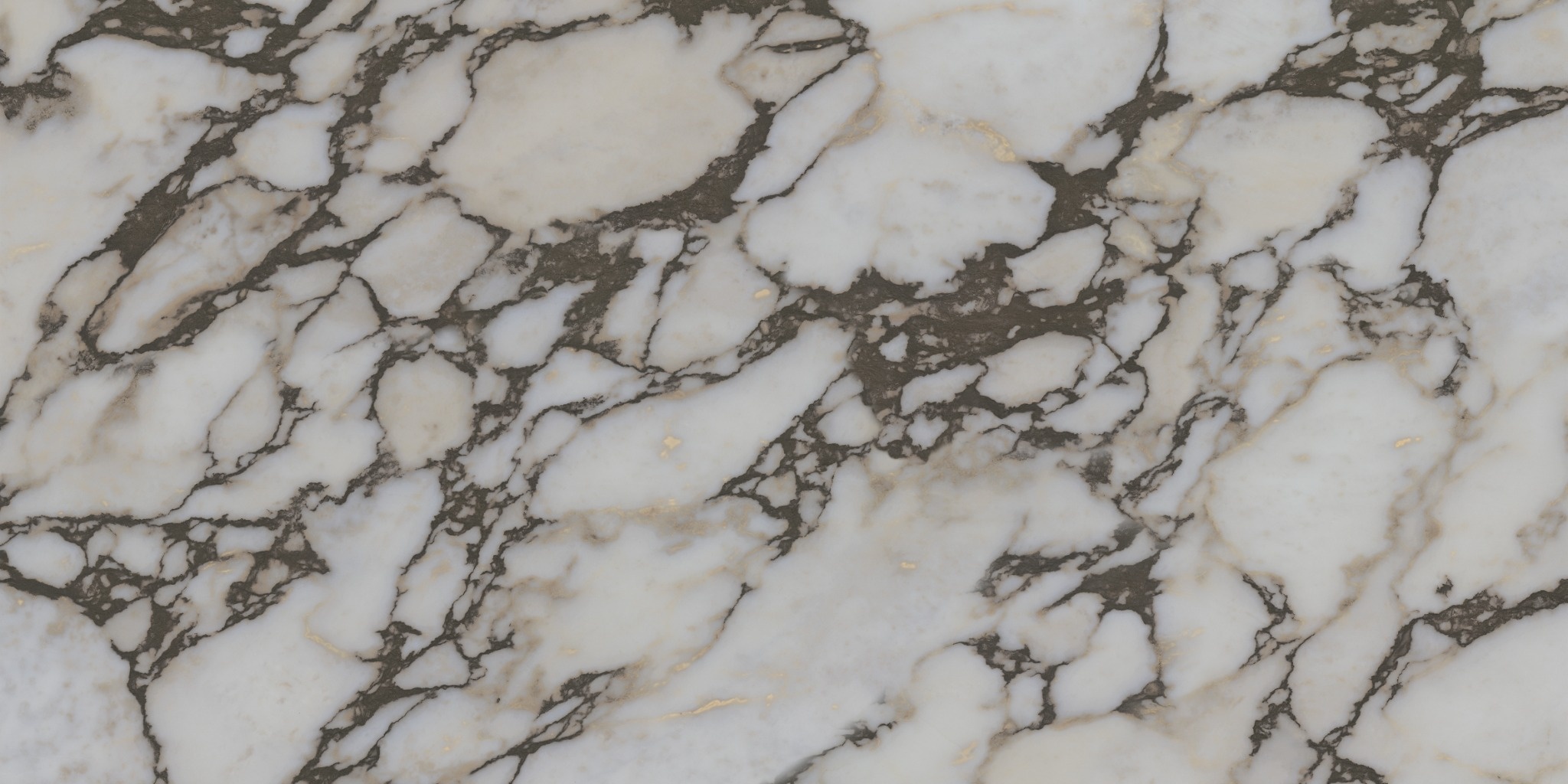 Calacatta Viola 3D