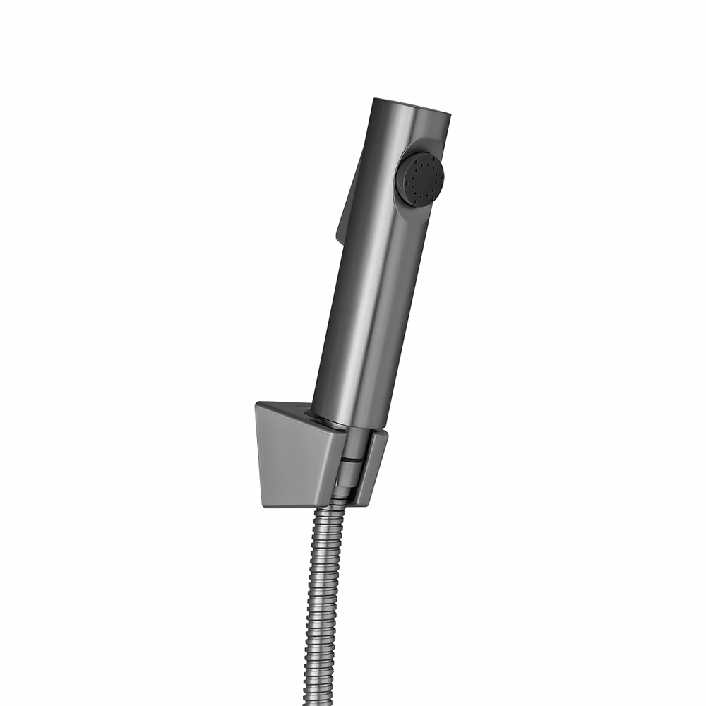 Brushed Nickel ABS Toilet Bidet