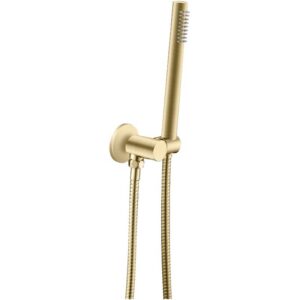 Light Brushed Brass Shower Rail with Handheld Shower